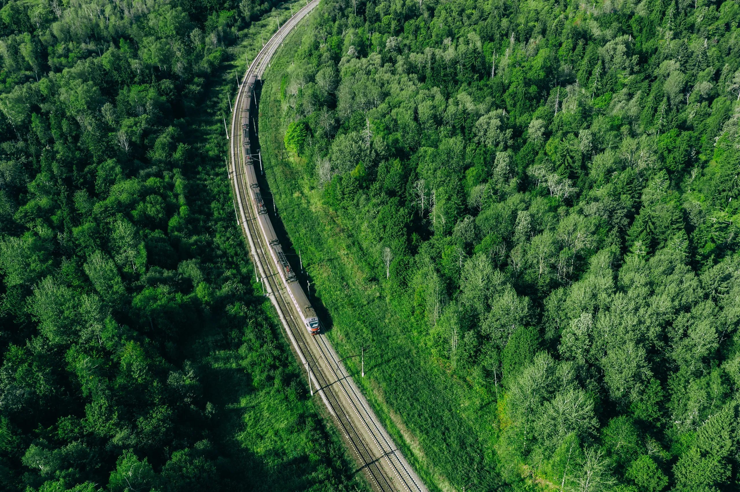 A railway line curving through dense forest, seen from above