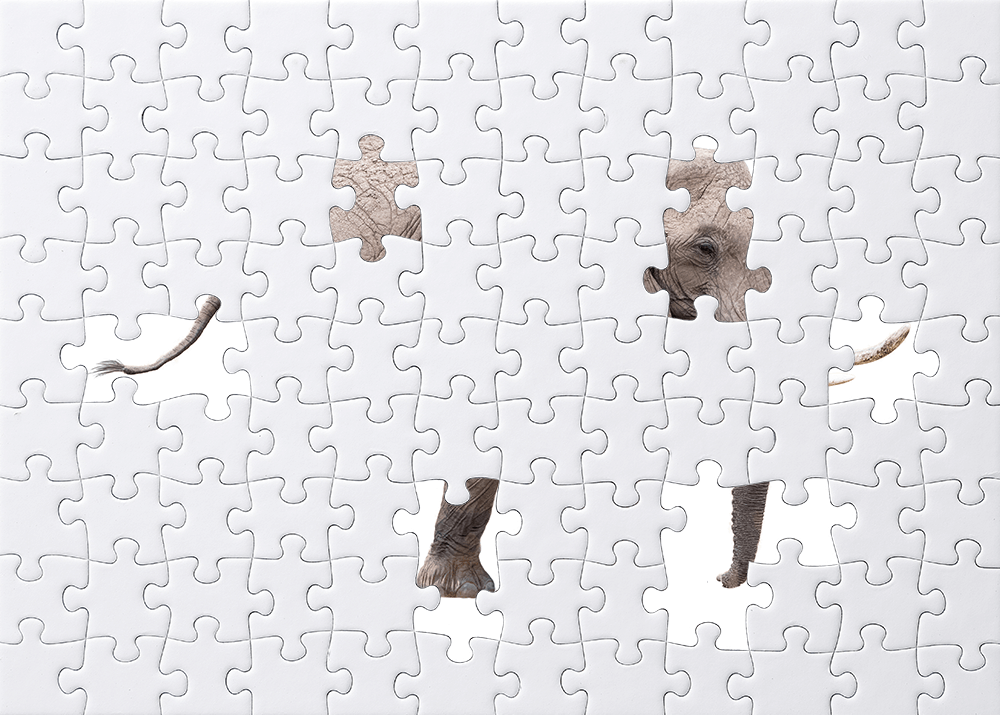 Missing pieces